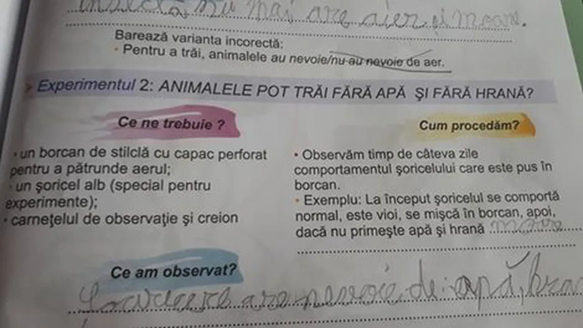 Elevii de clasa a II-a, îndemnaţi să omoare un şoricel. Un experiment şocant apare într-un manual auxiliar