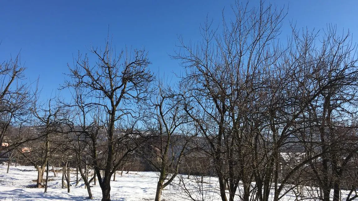 PROGNOZA METEO pentru URMĂTOARELE ZILE- Vreme frumoasă, 19 grade în sudul Munteniei şi al Dobrogei