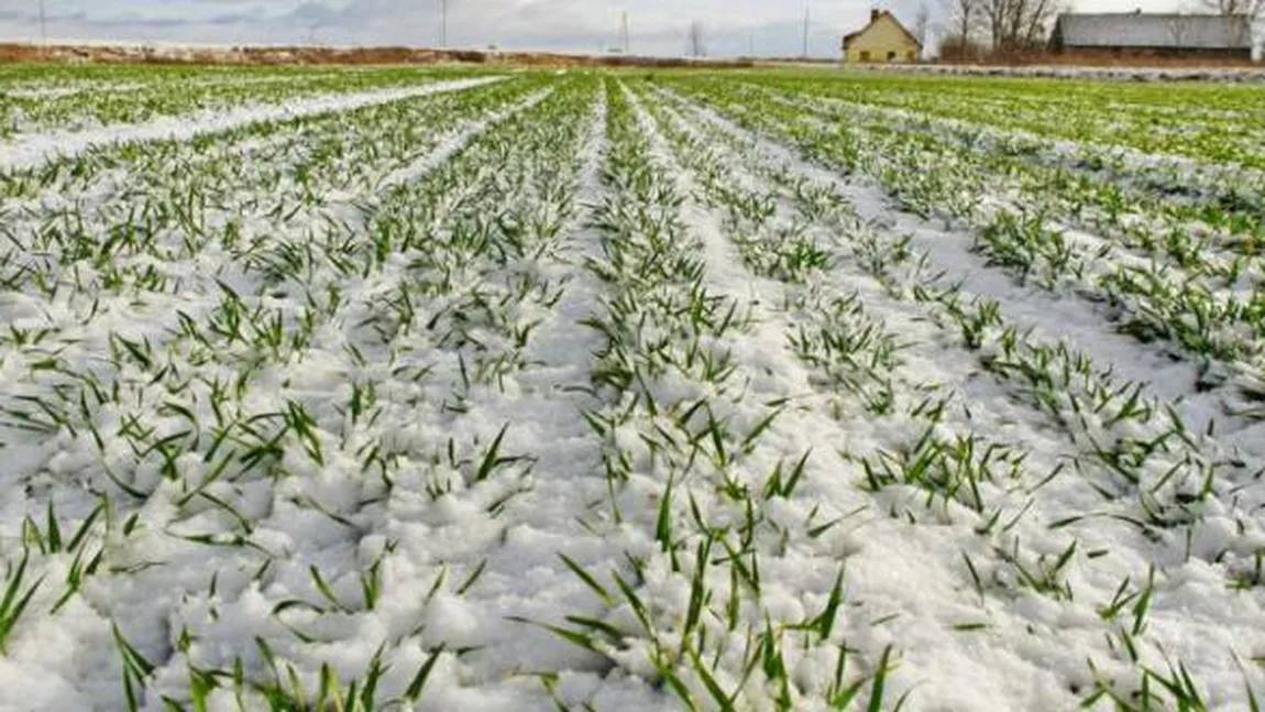 Rezerva de apă se va situa în limite satisfăcătoare în perioada 4-10 ianuarie