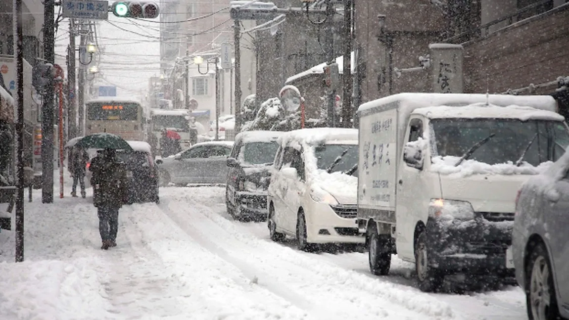 Ninsorile abundente din Japonia perturbă traficul feroviar şi aerian