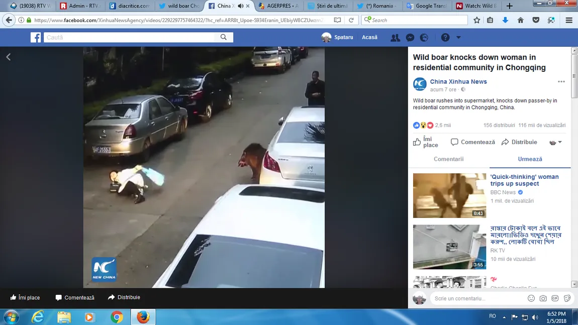 Mistreţul agresiv. Un porc sălbatic a atacat trecătorii şi a intrat într-un supermarket VIDEO
