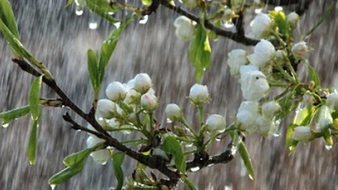 ATENŢIONARE METEO: ploi abundente, vijelii şi frig în întreaga ţară; ninsori şi viscol la munte