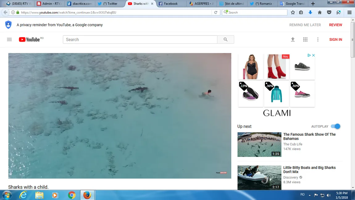Un copil a scăpat în ultima clipă de atacul a patru rechini. Imaginile au fost filmate cu o dronă, în Bahamas VIDEO