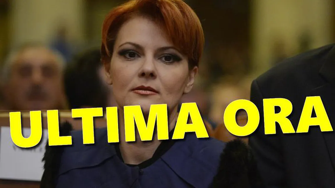 Lia Olguţa Vasilescu, despre contestatarii legii salarizării: 