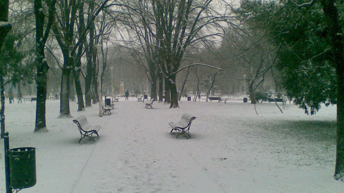 PROGNOZA METEO: Ninsorile îşi fac apariţia. Când va fi zăpadă în Bucureşti