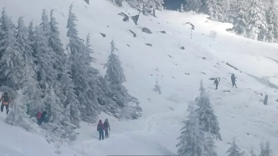 Risc maxim de avalanşă în Carpaţii Orientali. Alerta salvamontiştilor a fost ridicată la gradul 5 din 5
