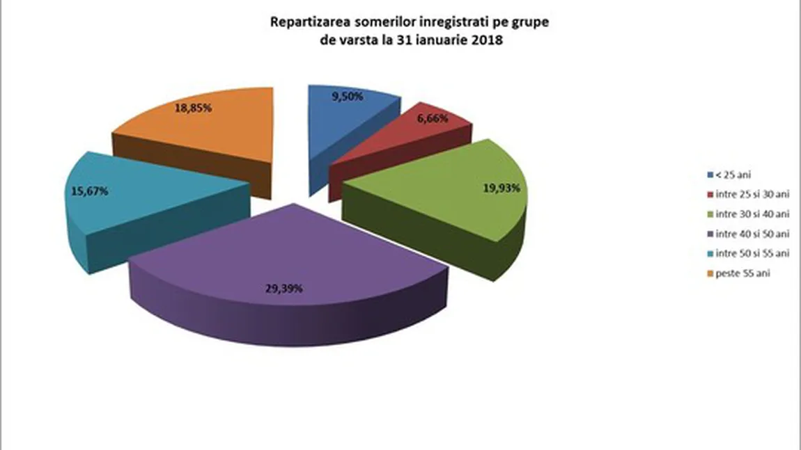 ANOFM: Rata şomajului în luna ianuarie a acestui an, cea mai mică din ultimii 25 de ani raportat la aceeaşi lună