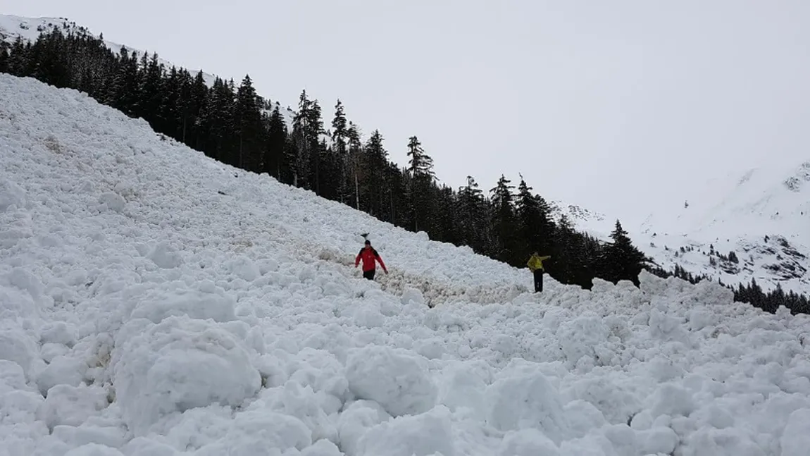 Avalanşă pe Transfăgărăşan