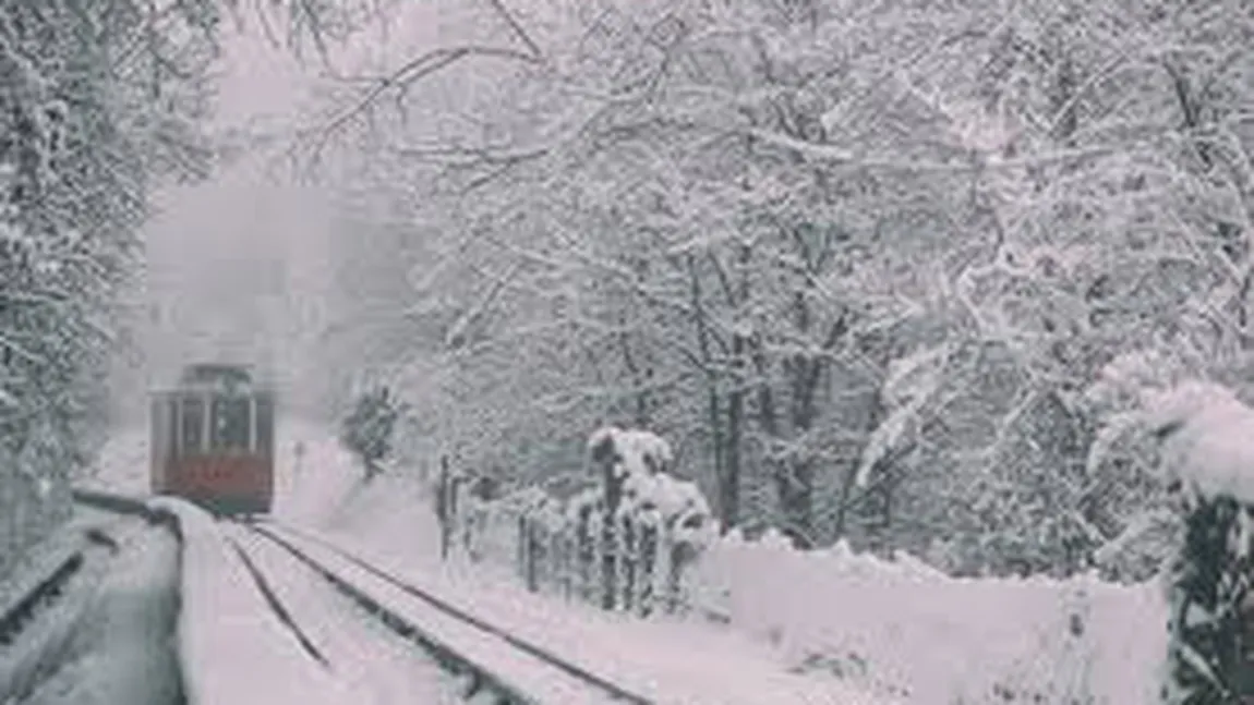 Italia, răvăşită de valul de frig siberian. Haos în trafic, curse feroviare anulate şi drumuri închise