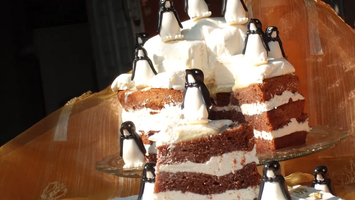 DESERTUL ZILEI: Tort 