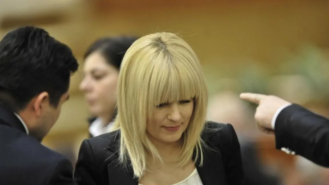 Elena Udrea, în jurnal, despre alegerile din 2014: Totul se poate obţine cu ameninţarea dosarelor