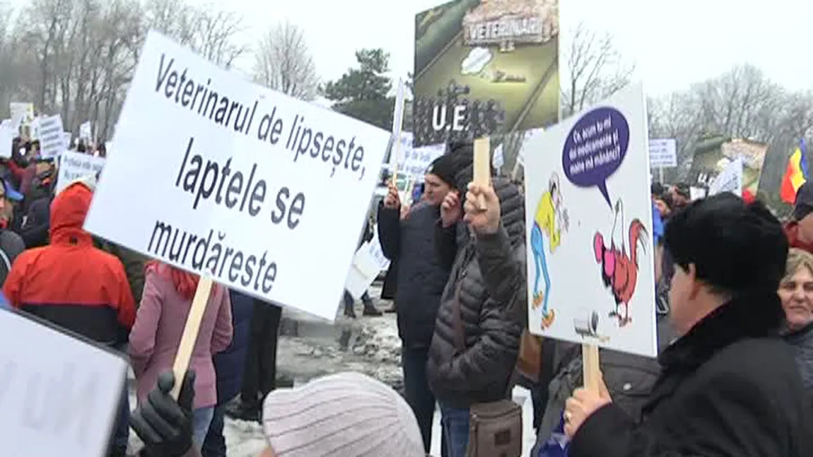 Sute de medici veterinari au protestat luni în Piaţa Presei Libere