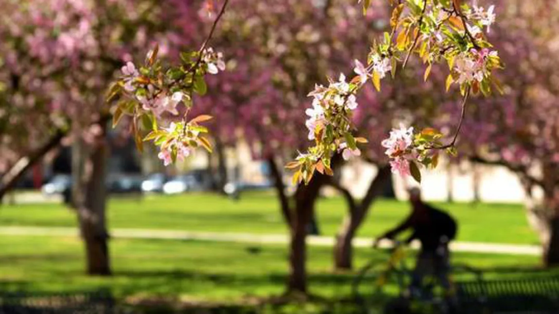 PROGNOZA METEO PE TREI ZILE. Vreme tot mai caldă, temperaturile se apropie de 30 de grade, inclusiv la Bucureşti