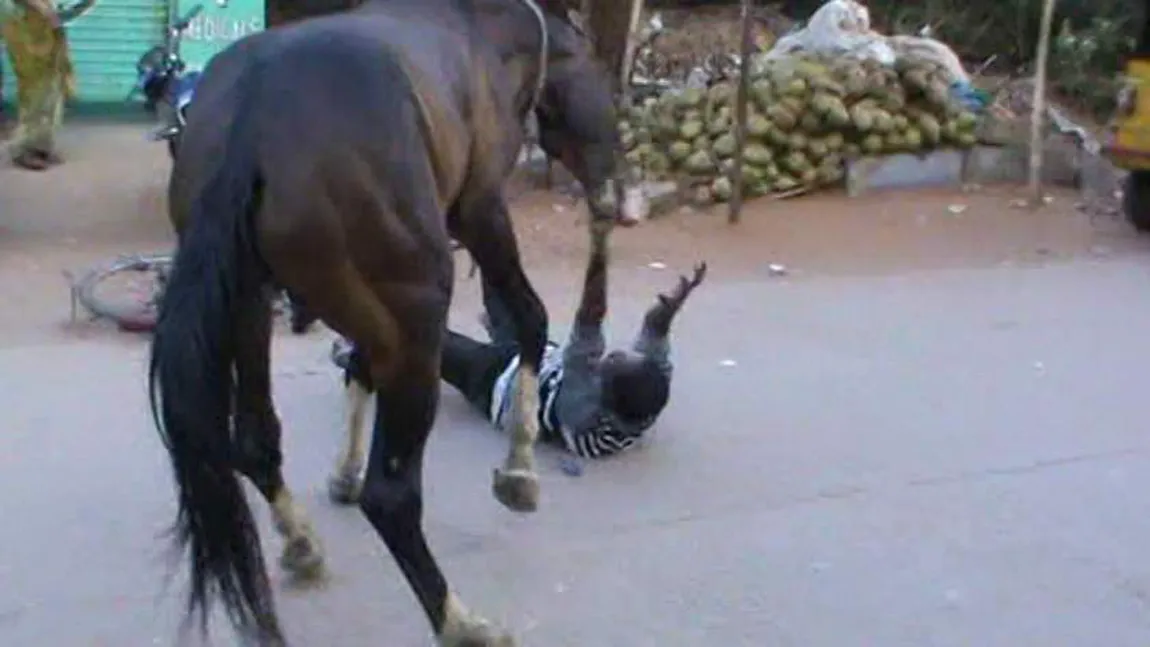Un bărbat care îşi bătea calul a ajuns la spital în stare gravă, după ce a fost lovit de animal