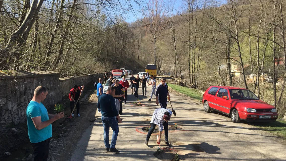 Protest inedit al şoferilor prahoveni, nemulţumiţi de starea drumurilor. Au plantat flori în mijlocul şoselei FOTO