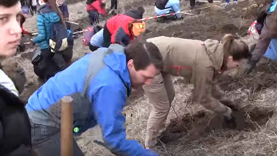 Principele Nicolae a ieşit la plantat copaci. Nu a fost singur, ci însoţit de logodnica lui şi alte câteva sute de oameni VIDEO