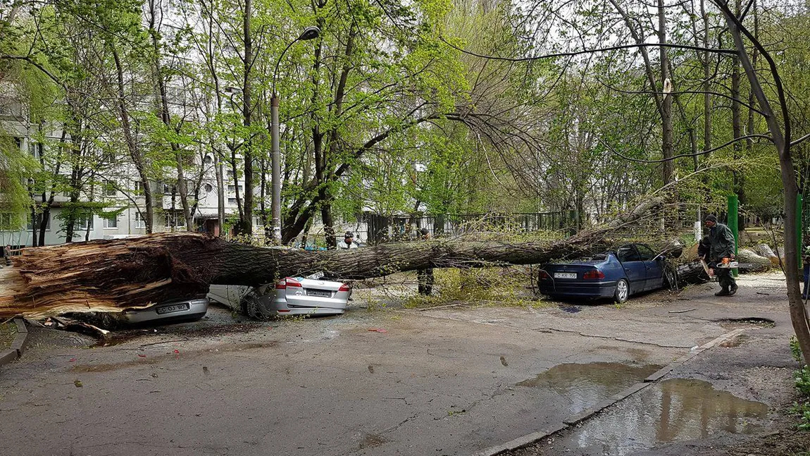 Cod GALBEN de vreme severă imediată. Vântul va bate cu putere în mai multe zone din ţară