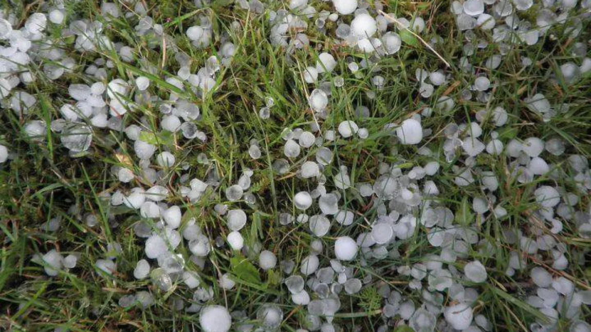 Grindina a făcut prăpăd în Olt. Culturi agricole şi acoperişuri distruse, în câteva minute