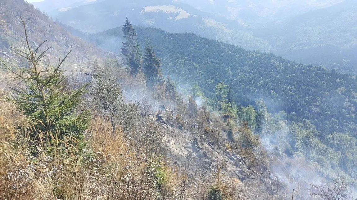 Incendiu de vegetaţie uscată izbucnit în Munţii Rodnei. Pompierii intervin pentru stingerea focului