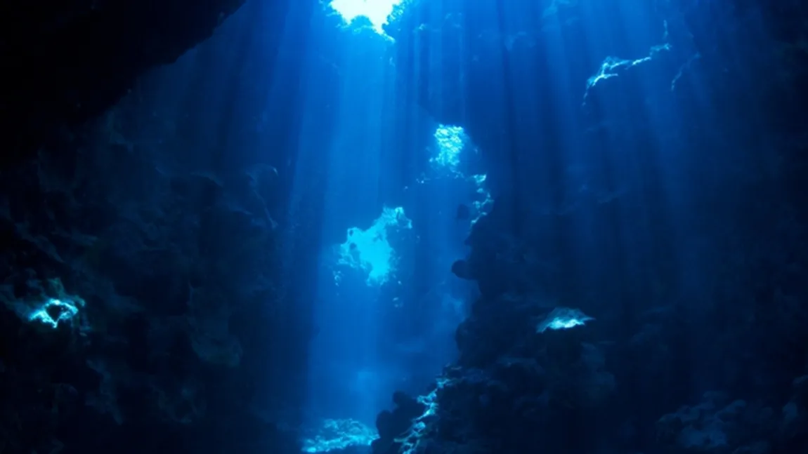 Cercetătorii sunt în alertă. INCREDIBIL ce s-a descoperit în cel mai adânc punct din ocean FOTO