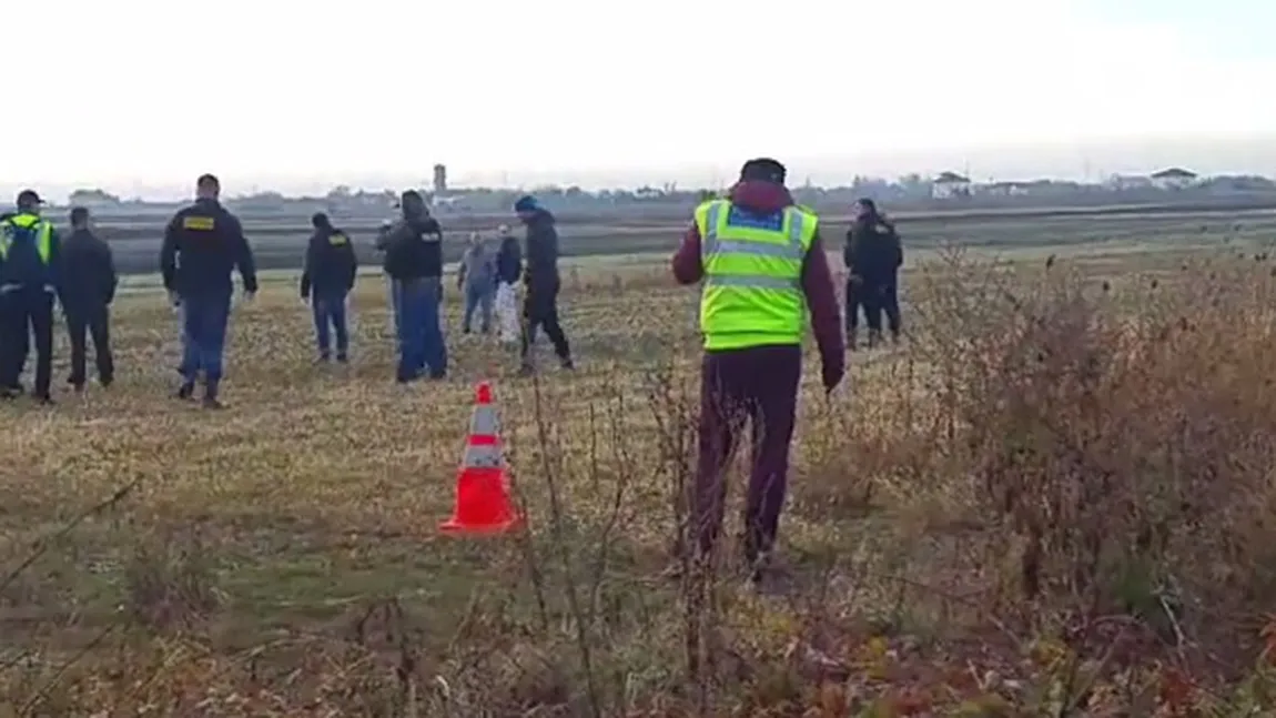 Alertă în Tulcea. Cadavrul unui mistreţ sălbatic, suspect de pestă porcină africană