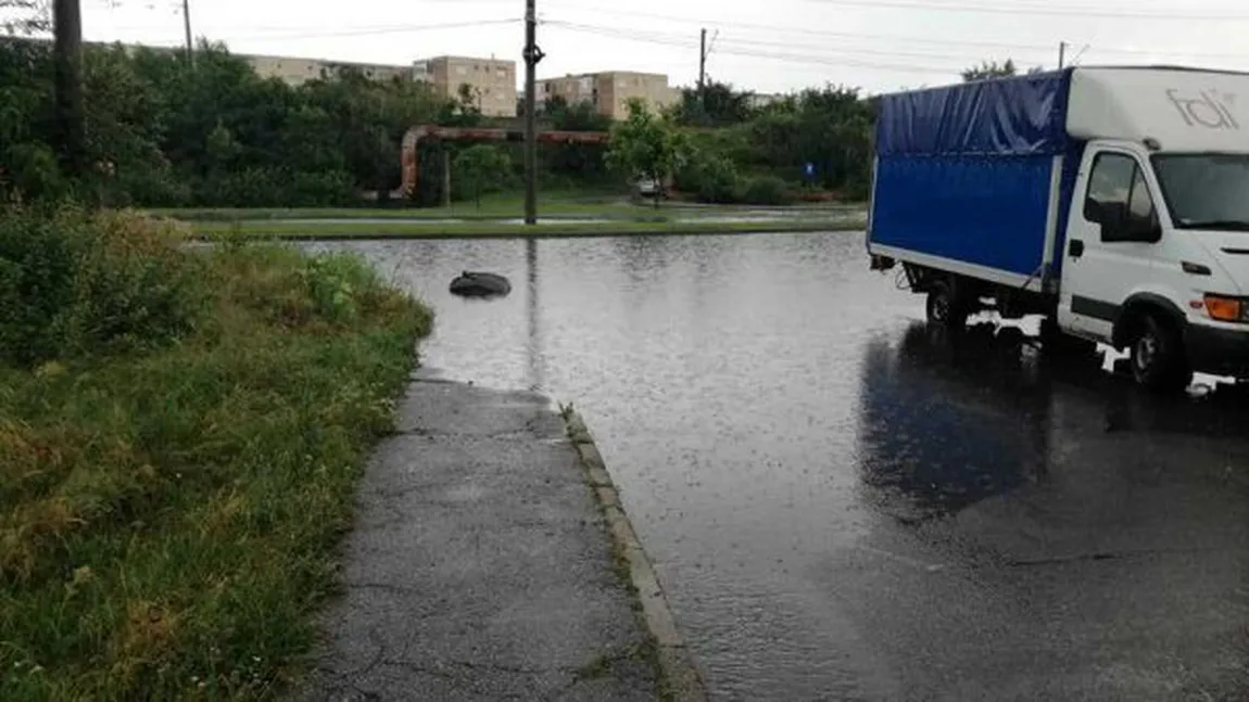 Furtuna a făcut ravagii în Arad: copaci căzuţi peste maşini şi străzi inundate
