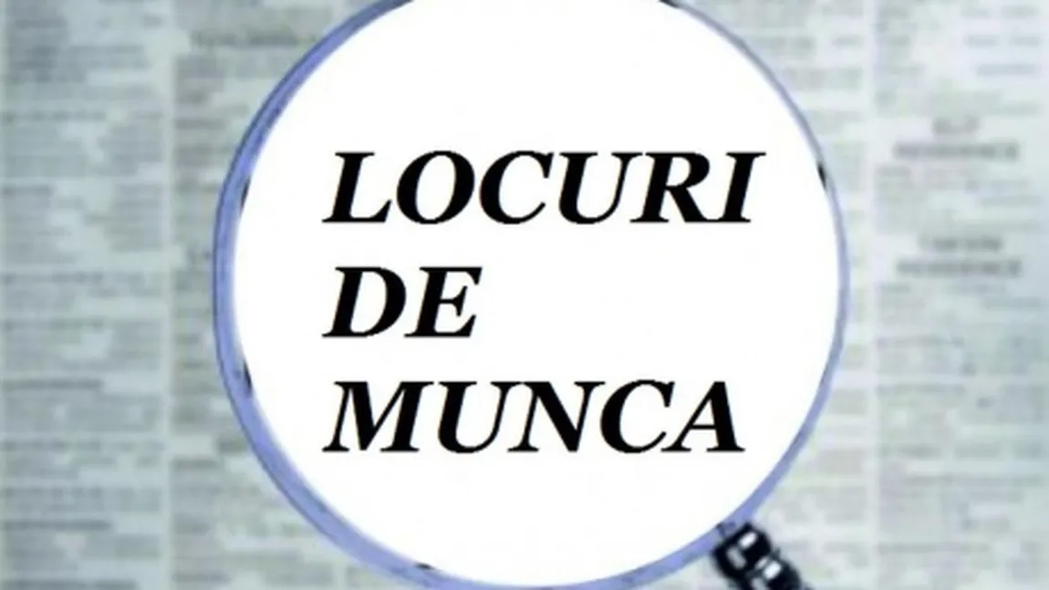 INS: Numărul locurilor de muncă vacante creşte în trimestrul II din acest an, la 61.400