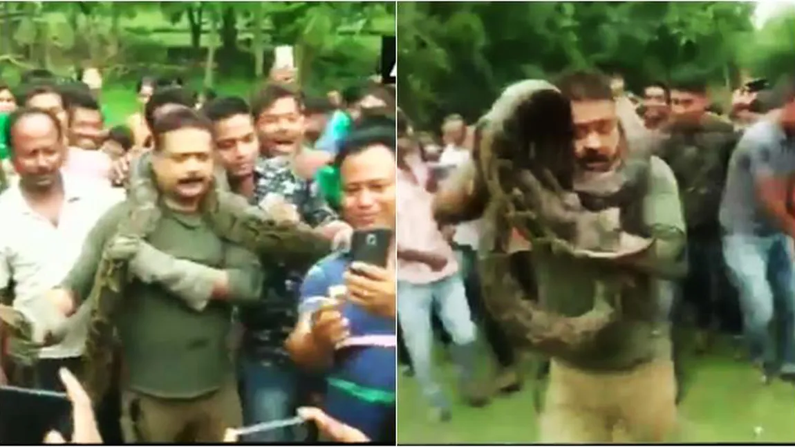 Un selfie cu un piton era să-l coste viaţa. Imagini teribile de la o şedinţă foto inedită VIDEO