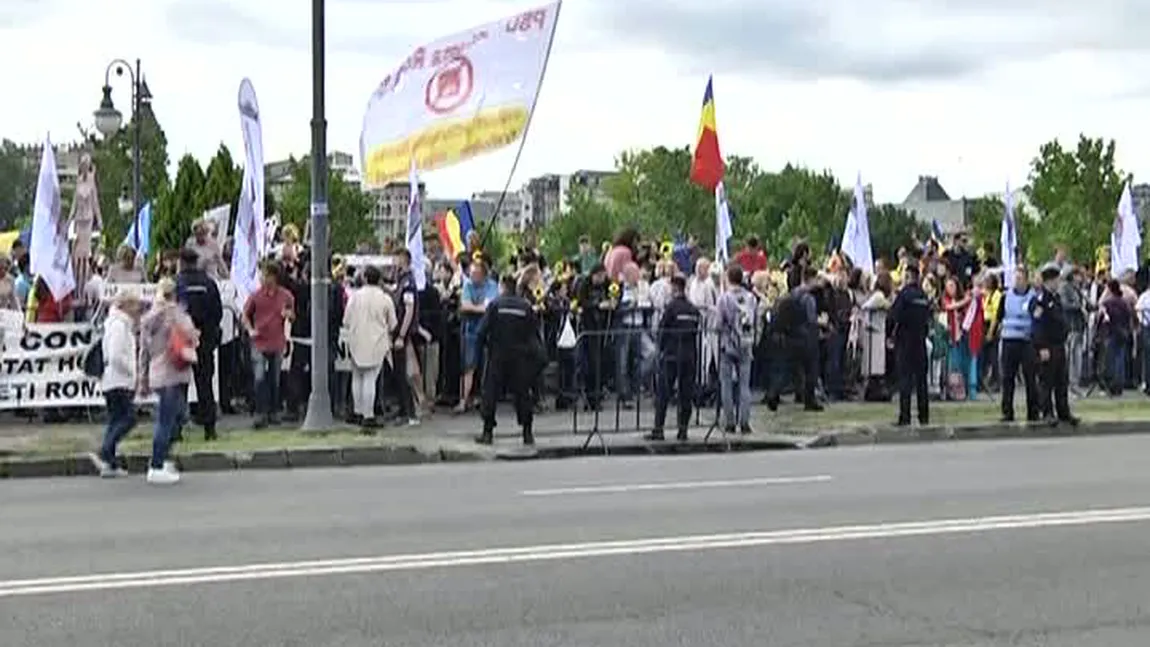 Câteva mii de persoane protestează în Parcul Izvor: 