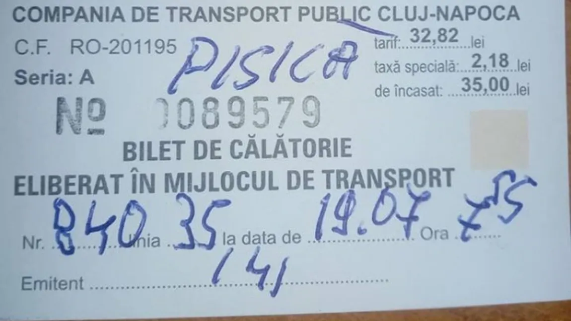 O femeie din Cluj a fost amendată pentru că a urcat cu pisica într-un autobuz. 