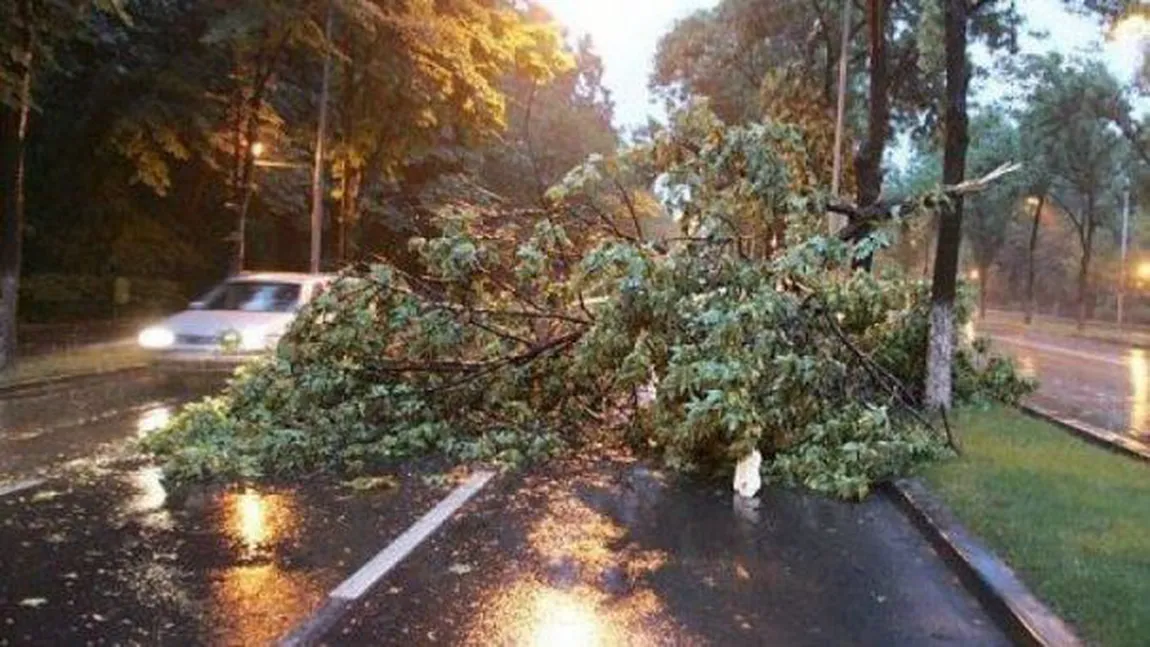 ANM: Ploi şi vijelii în Bucureşti, începând de duminică seara. Vremea în Capitală în următoarele zile