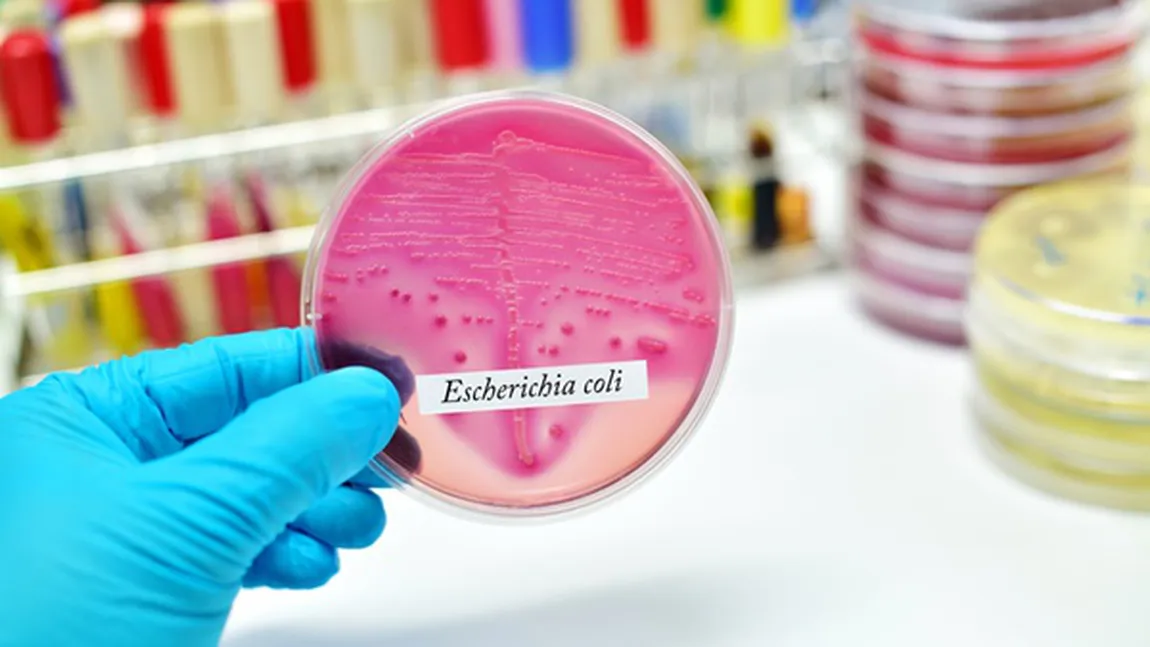 O femeie a murit după ce a mâncat, într-un restaurant din Corfu, pui contaminat cu bacteria E.coli