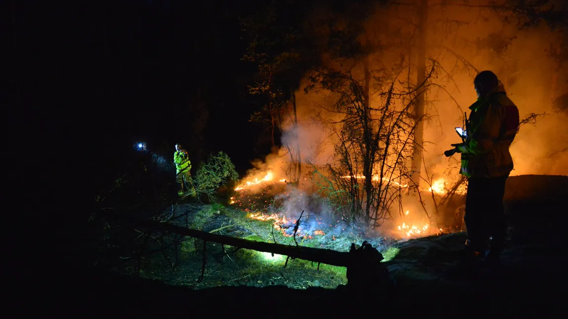 Vremea a luat-o razna: Incendii de vegetaţie în zona Cercului Arctic din cauza temperaturilor ridicate