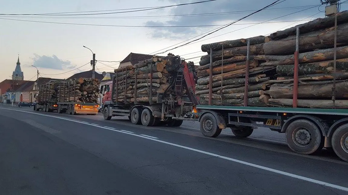 Toate autovehiculele încărcate cu lemne, urmărite prin GPS din 2019