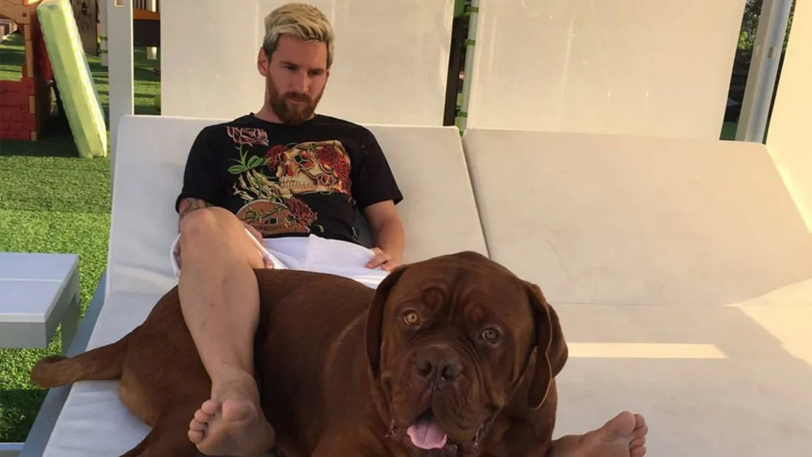 Leo Messi a fost trădat de soţie. Starul Barcelonei se antrenează cu câinele său, uriaşul Hulk VIDEO