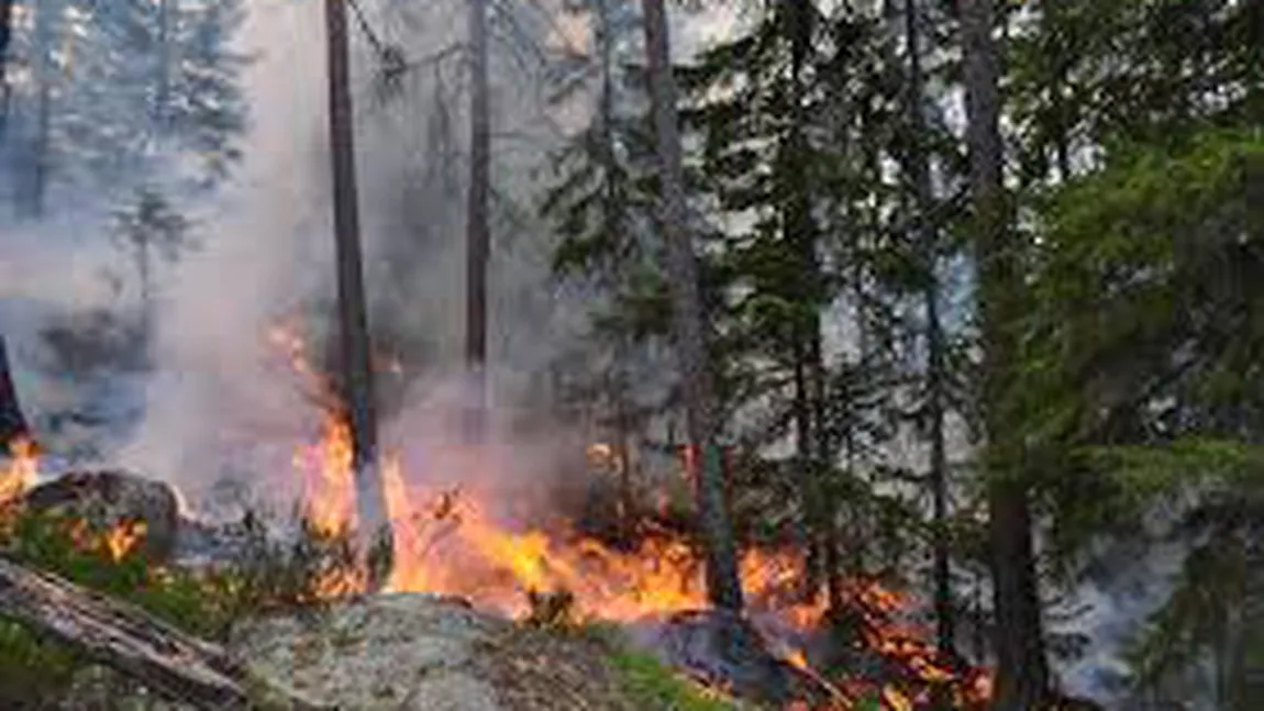 MAE Român, avertizare de călătorie în Suedia. Sunt incendii de pădure