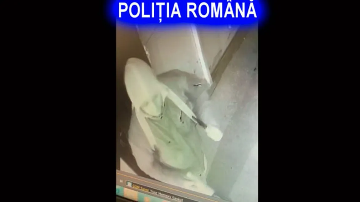 Un piroman, surprins de camerele de supraveghere în acţiune. Poliţia cere ajutorul populaţiei VIDEO