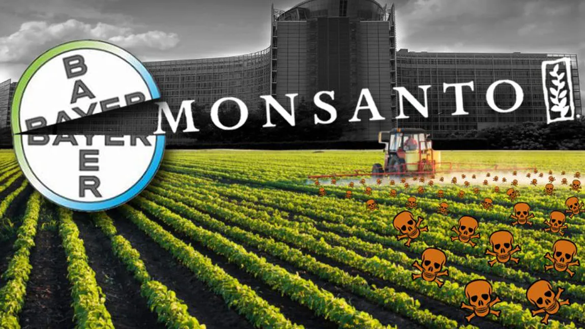 Monsanto, parte a grupului Bayer, este ţinta a 8.000 de procese legate de riscul de cancer implicat de includerea glifosat în erbicide