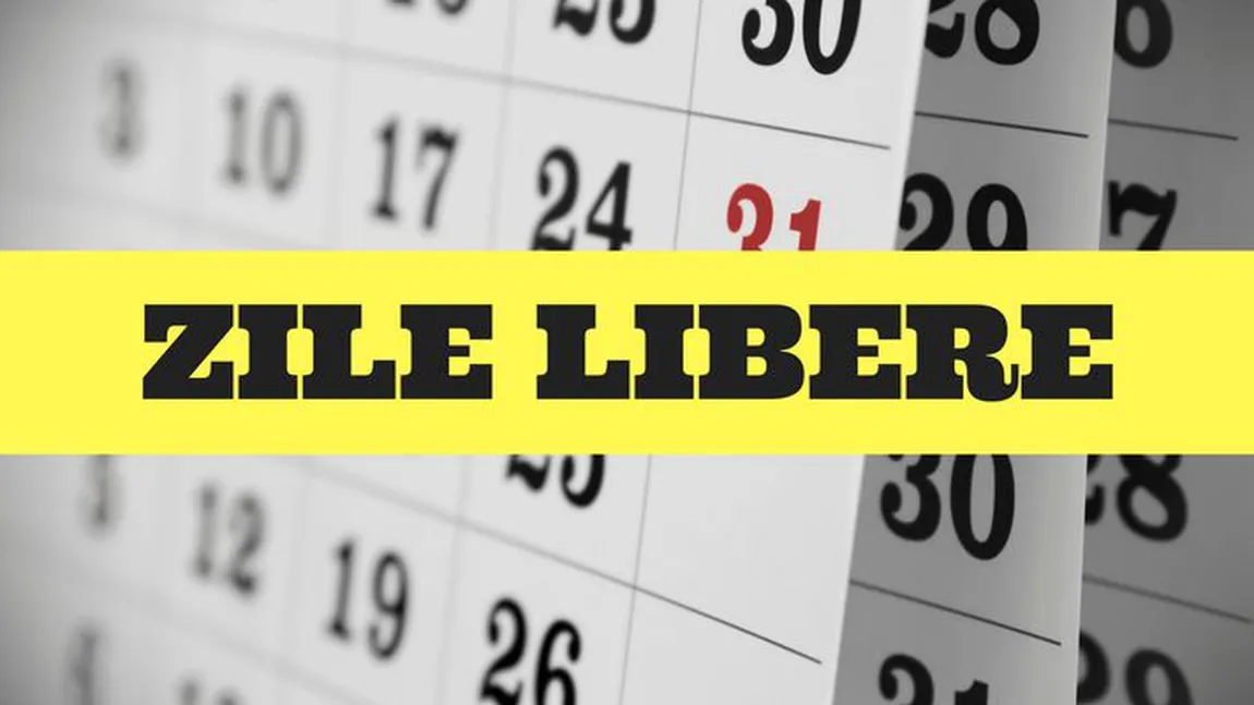 Bugetarii ar putea avea o vacanţă de nouă zile la sfârşitul lui august. Proiectul, în dezbatere publică
