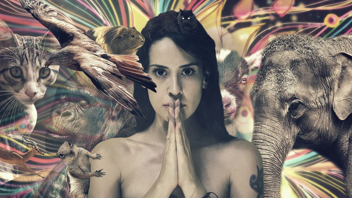Care este animalul tău spiritual! Data naşterii spune tot