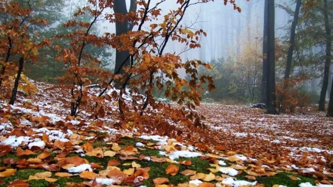 Vremea se răceşte în toată ţara. Ninsori şi viscol la munte. Prognoza meteo pentru intervalul 22 octombrie - 4 noiembrie