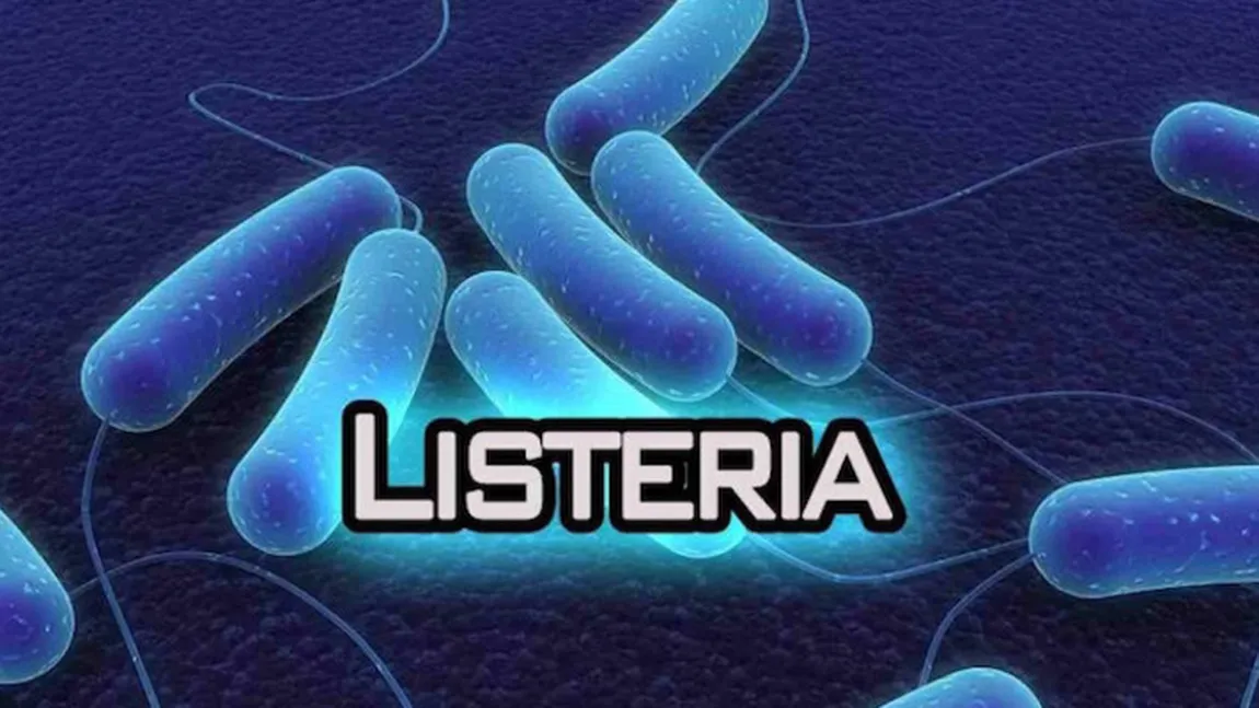 Noi alerte în industria alimentară. Produse contaminate cu bacteria Listeria retrase din mai multe supermarketuri
