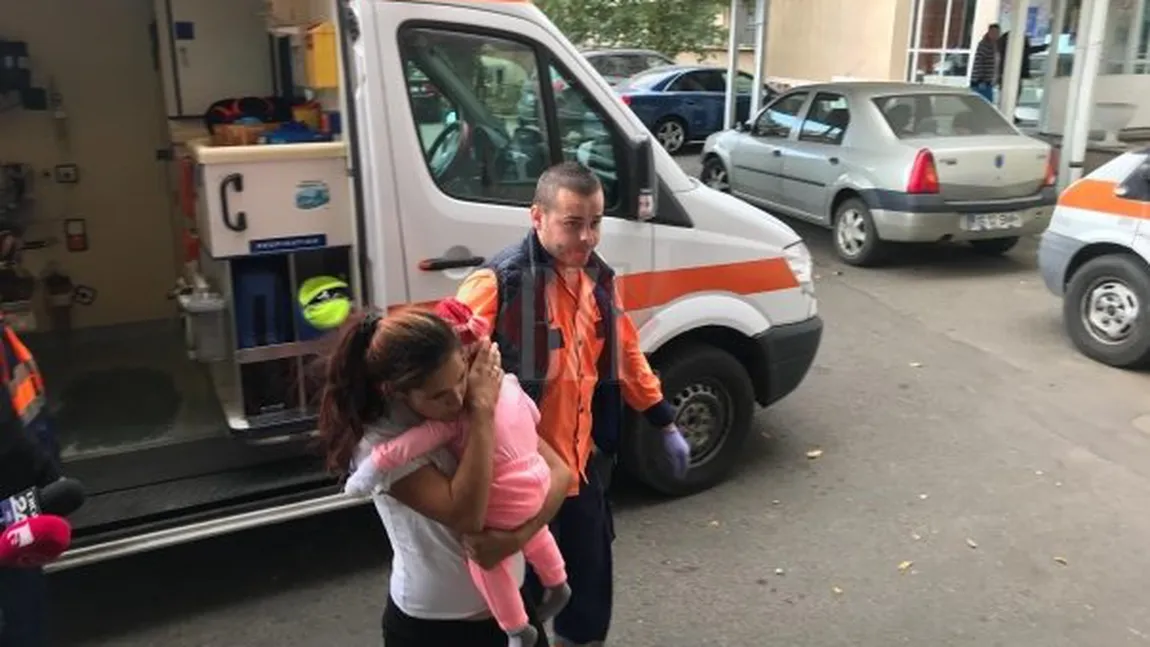 Incident halucinant în Iaşi. Un porc i-a mâncat urechea unei fetiţe. Micuţa a fost găsită într-o baltă de sânge FOTO