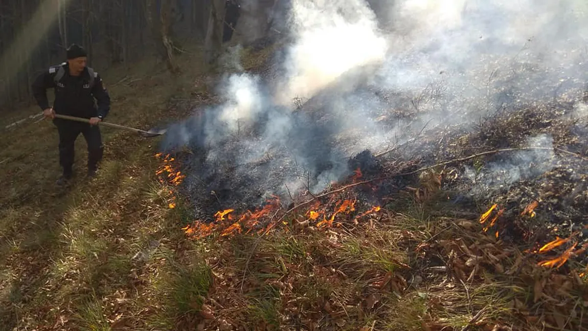 Aproape 10 ha de pădure mai ard în Parcul Natural Grădiştea Muncelului din Hunedoara. Pompierii sunt în a treia zi de intervenţie