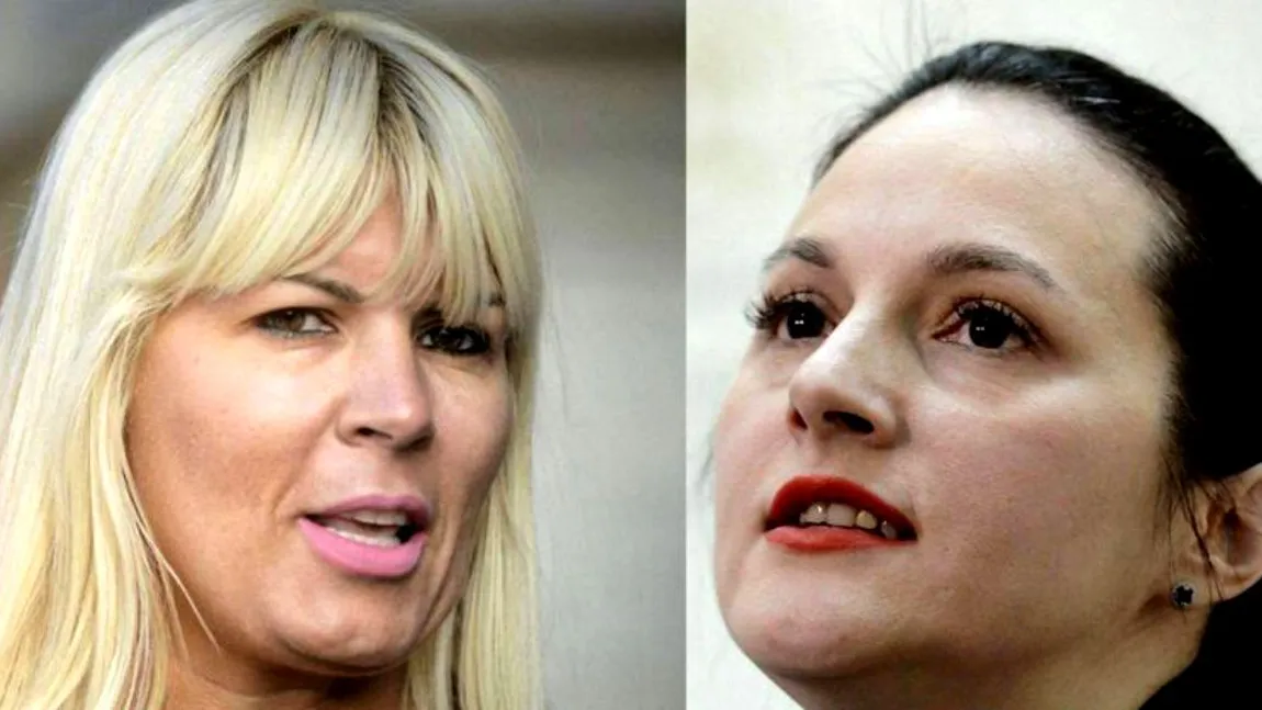 Elena Udrea şi Alina Bica vor să scape de condamnările la închisoare primite la ÎCCJ