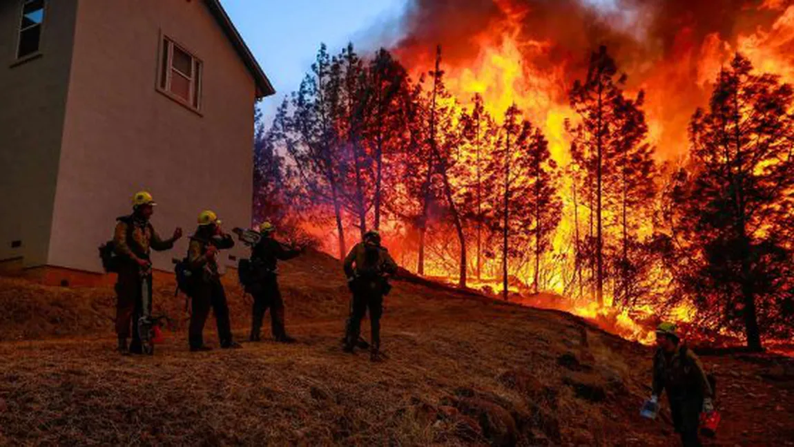 Incendiile din California provoacă distrugeri incredibile. Sunt deja 59 de morţi şi peste 130 de dispăruţi VIDEO