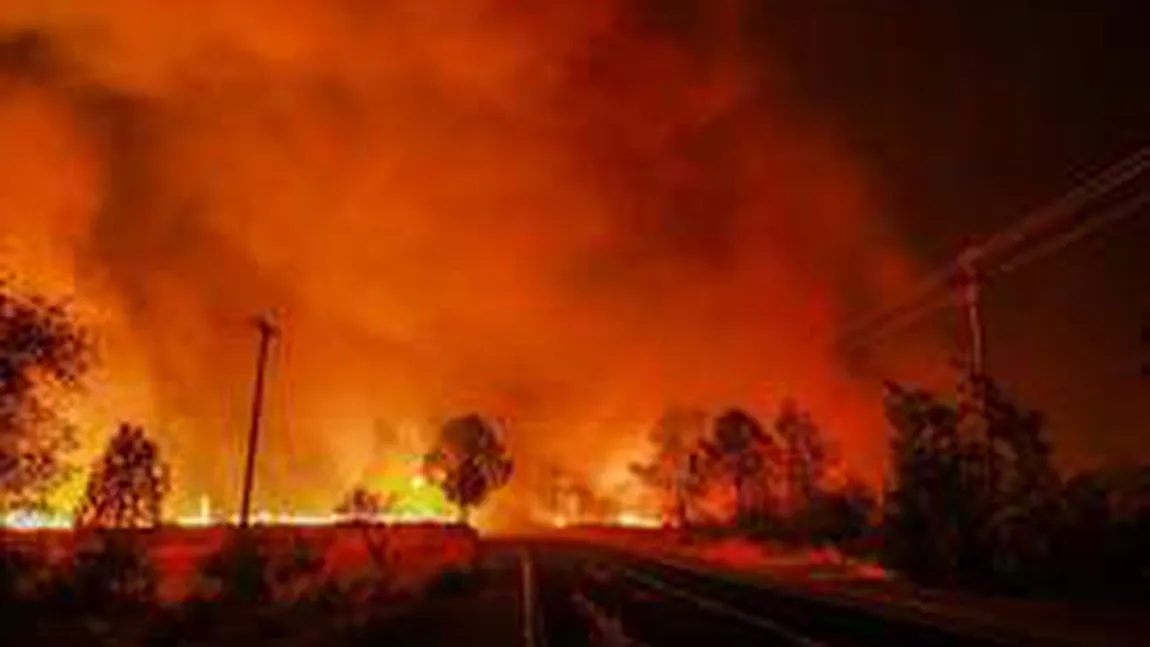 Noi incendii devastatoare în California soldate cu morţi şi răniţi GALERIE FOTO