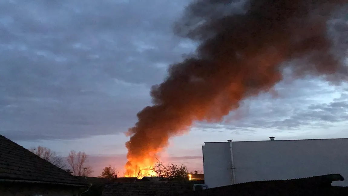 Incendiu puternic în Baia Mare. Două case au fost cuprinse de flăcări