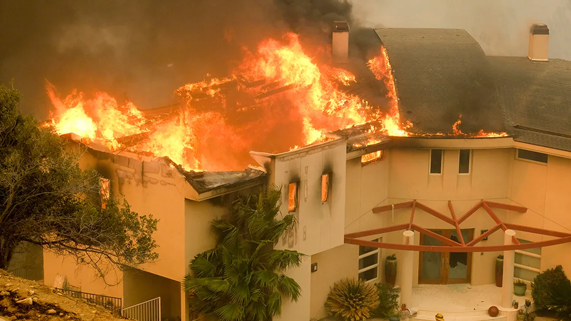 Vedete evacuate din calea incendiilor de vegetaţie