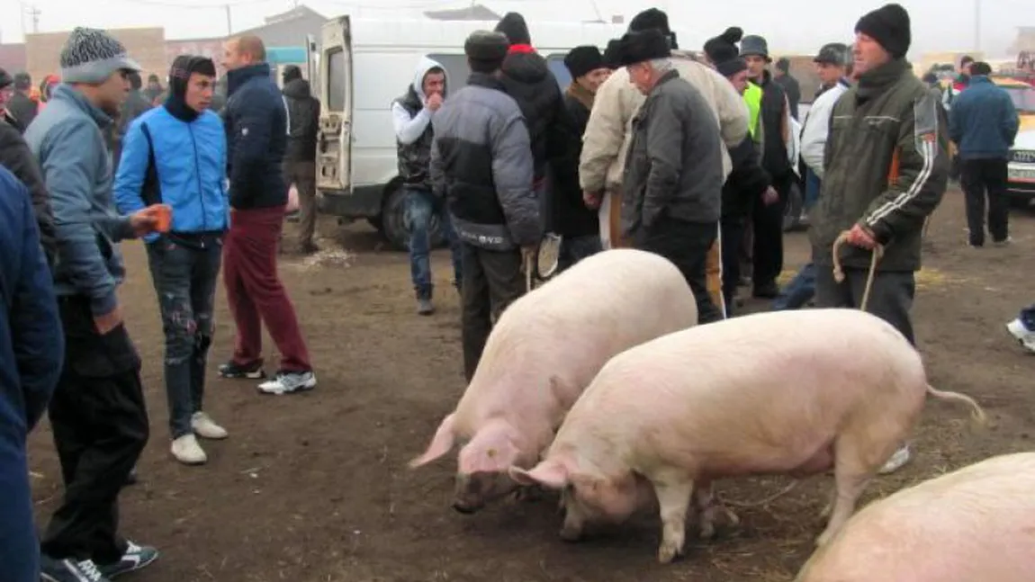 CRĂCIUN 2018. Cum vor să se păcălească românii între ei FĂCÂND TROC pentru o pulpă de porc. 